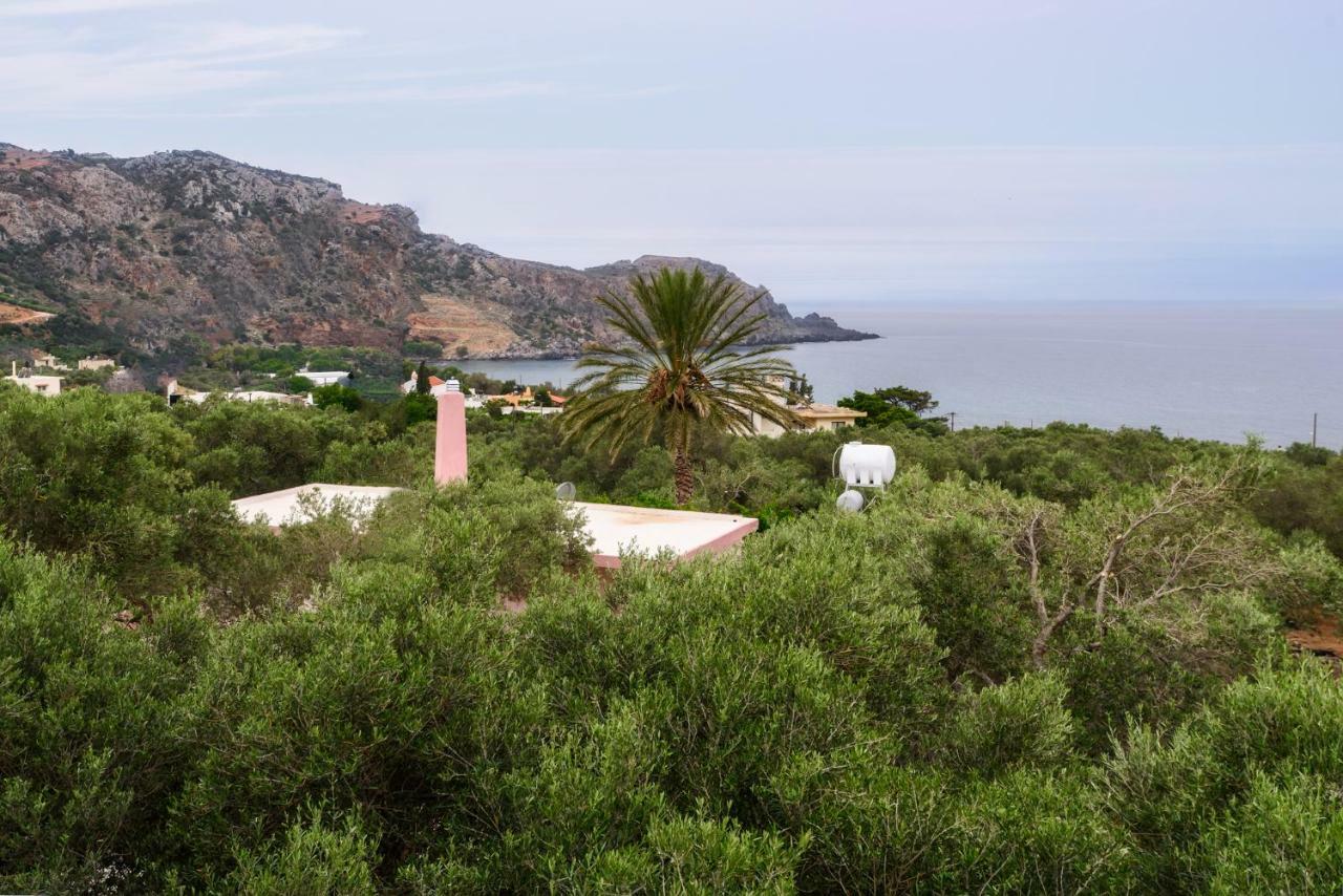 Palm Beach House Сфинарион Экстерьер фото
